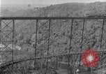 Image of banana plantation Hawaii USA, 1924, second 51 stock footage video 65675070222