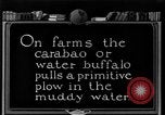 Image of banana plantation Hawaii USA, 1924, second 52 stock footage video 65675070222