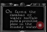 Image of banana plantation Hawaii USA, 1924, second 53 stock footage video 65675070222