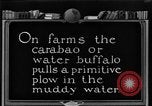Image of banana plantation Hawaii USA, 1924, second 56 stock footage video 65675070222