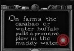 Image of banana plantation Hawaii USA, 1924, second 58 stock footage video 65675070222