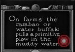 Image of banana plantation Hawaii USA, 1924, second 59 stock footage video 65675070222