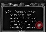 Image of banana plantation Hawaii USA, 1924, second 60 stock footage video 65675070222