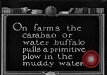 Image of banana plantation Hawaii USA, 1924, second 61 stock footage video 65675070222