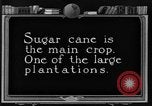 Image of sugarcane farm Hawaii USA, 1924, second 1 stock footage video 65675070223