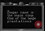 Image of sugarcane farm Hawaii USA, 1924, second 4 stock footage video 65675070223