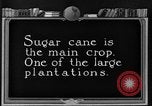 Image of sugarcane farm Hawaii USA, 1924, second 5 stock footage video 65675070223