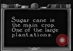 Image of sugarcane farm Hawaii USA, 1924, second 7 stock footage video 65675070223
