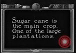 Image of sugarcane farm Hawaii USA, 1924, second 9 stock footage video 65675070223