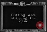 Image of sugarcane farm Hawaii USA, 1924, second 22 stock footage video 65675070223