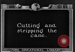 Image of sugarcane farm Hawaii USA, 1924, second 26 stock footage video 65675070223