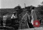 Image of sugarcane farm Hawaii USA, 1924, second 60 stock footage video 65675070223