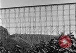 Image of sugarcane farm Hawaii USA, 1924, second 62 stock footage video 65675070223