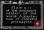 Standbild Ananas Farm Hawaii USA, 1924, aus Sekunde 1 historischem Filmmaterial Videoclip 65675070224
