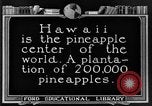 Standbild Ananas Farm Hawaii USA, 1924, aus Sekunde 3 historischem Filmmaterial Videoclip 65675070224