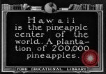 Standbild Ananas Farm Hawaii USA, 1924, aus Sekunde 5 historischem Filmmaterial Videoclip 65675070224
