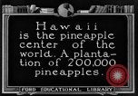 Standbild Ananas Farm Hawaii USA, 1924, aus Sekunde 9 historischem Filmmaterial Videoclip 65675070224