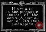 Standbild Ananas Farm Hawaii USA, 1924, aus Sekunde 10 historischem Filmmaterial Videoclip 65675070224