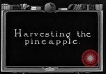 Standbild Ananas Farm Hawaii USA, 1924, aus Sekunde 17 historischem Filmmaterial Videoclip 65675070224
