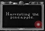 Standbild Ananas Farm Hawaii USA, 1924, aus Sekunde 20 historischem Filmmaterial Videoclip 65675070224
