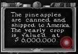 Standbild Ananas Farm Hawaii USA, 1924, aus Sekunde 33 historischem Filmmaterial Videoclip 65675070224