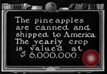 Standbild Ananas Farm Hawaii USA, 1924, aus Sekunde 35 historischem Filmmaterial Videoclip 65675070224