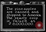 Standbild Ananas Farm Hawaii USA, 1924, aus Sekunde 36 historischem Filmmaterial Videoclip 65675070224
