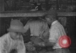 Standbild Ananas Farm Hawaii USA, 1924, aus Sekunde 39 historischem Filmmaterial Videoclip 65675070224