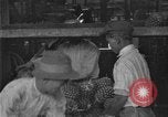 Standbild Ananas Farm Hawaii USA, 1924, aus Sekunde 40 historischem Filmmaterial Videoclip 65675070224