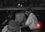 Standbild Ananas Farm Hawaii USA, 1924, aus Sekunde 43 historischem Filmmaterial Videoclip 65675070224