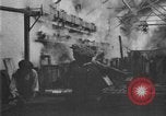 Standbild Ananas Farm Hawaii USA, 1924, aus Sekunde 46 historischem Filmmaterial Videoclip 65675070224