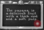 Standbild papaya Baum Hawaii USA, 1924, aus Sekunde 1 historischem Filmmaterial Videoclip 65675070225