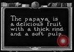 Standbild papaya Baum Hawaii USA, 1924, aus Sekunde 3 historischem Filmmaterial Videoclip 65675070225