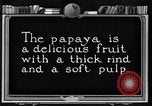 Standbild papaya Baum Hawaii USA, 1924, aus Sekunde 5 historischem Filmmaterial Videoclip 65675070225
