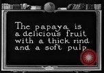 Standbild papaya Baum Hawaii USA, 1924, aus Sekunde 6 historischem Filmmaterial Videoclip 65675070225