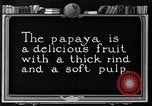 Standbild papaya Baum Hawaii USA, 1924, aus Sekunde 7 historischem Filmmaterial Videoclip 65675070225