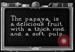 Standbild papaya Baum Hawaii USA, 1924, aus Sekunde 8 historischem Filmmaterial Videoclip 65675070225
