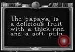 Standbild papaya Baum Hawaii USA, 1924, aus Sekunde 10 historischem Filmmaterial Videoclip 65675070225