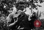 Standbild papaya Baum Hawaii USA, 1924, aus Sekunde 16 historischem Filmmaterial Videoclip 65675070225