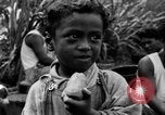 Standbild papaya Baum Hawaii USA, 1924, aus Sekunde 27 historischem Filmmaterial Videoclip 65675070225