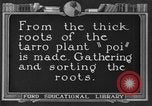 Image of poi Hawaii USA, 1924, second 1 stock footage video 65675070226
