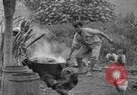 Image of poi Hawaii USA, 1924, second 13 stock footage video 65675070226