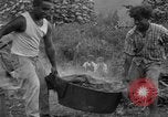 Image of poi Hawaii USA, 1924, second 16 stock footage video 65675070226