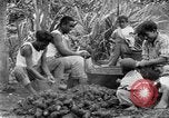 Image of poi Hawaii USA, 1924, second 19 stock footage video 65675070226