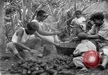Image of poi Hawaii USA, 1924, second 20 stock footage video 65675070226