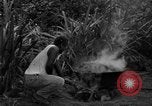Image of poi Hawaii USA, 1924, second 31 stock footage video 65675070226