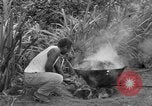 Image of poi Hawaii USA, 1924, second 32 stock footage video 65675070226