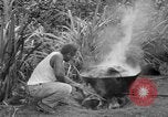 Image of poi Hawaii USA, 1924, second 33 stock footage video 65675070226