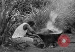 Image of poi Hawaii USA, 1924, second 34 stock footage video 65675070226