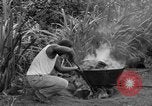 Image of poi Hawaii USA, 1924, second 35 stock footage video 65675070226